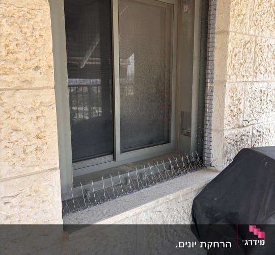 חלון עם דוקרנים למניעת יונים